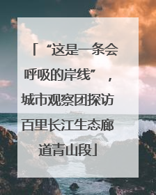 “这是一条会呼吸的岸线”，城市观察团探访百里长江生态廊道青山段