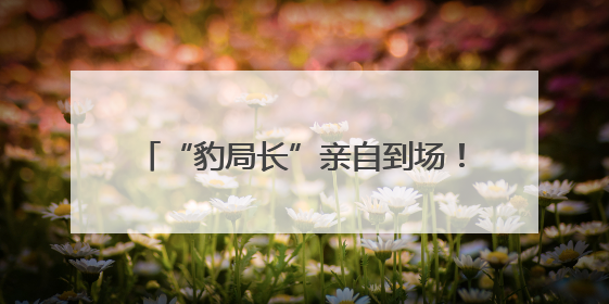 “豹局长”亲自到场！四川攀枝花“自带香味”亮相西博会丨图集