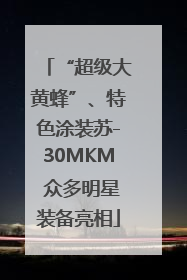 “超级大黄蜂”、特色涂装苏-30MKM 众多明星装备亮相