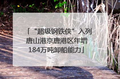 “超级钢铁侠”入列 唐山港京唐港区年增184万吨卸船能力