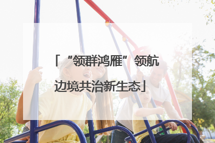 “领群鸿雁”领航边境共治新生态