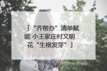 “齐帮办”清单赋能 小王家庄村文明花“生根发芽”
