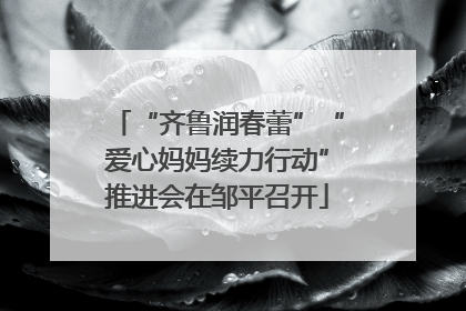 “齐鲁润春蕾”“爱心妈妈续力行动”推进会在邹平召开
