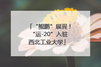 “鲲鹏”展翼！“运-20”入驻西北工业大学