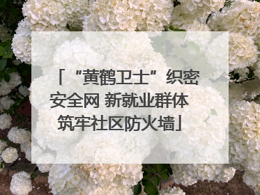 “黄鹤卫士”织密安全网 新就业群体筑牢社区防火墙