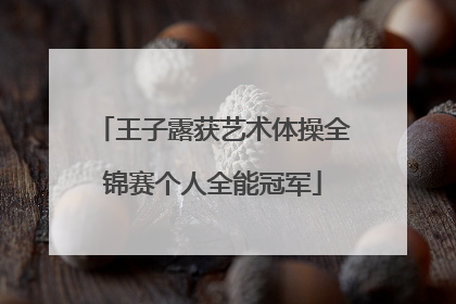 王子露获艺术体操全锦赛个人全能冠军