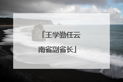 王学勤任云南省副省长