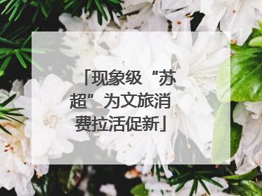 现象级“苏超”为文旅消费拉活促新