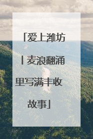 爱上潍坊丨麦浪翻涌里写满丰收故事