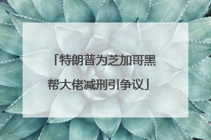 特朗普为芝加哥黑帮大佬减刑引争议