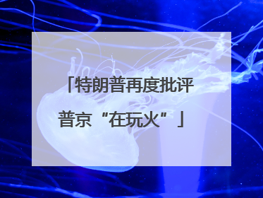 特朗普再度批评普京“在玩火”