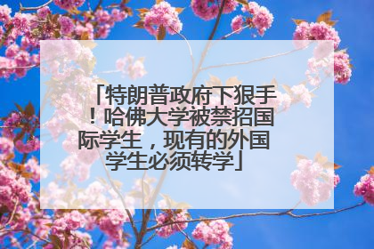 特朗普政府下狠手！哈佛大学被禁招国际学生，现有的外国学生必须转学