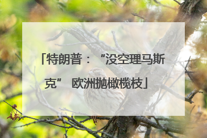 特朗普：“没空理马斯克” 欧洲抛橄榄枝
