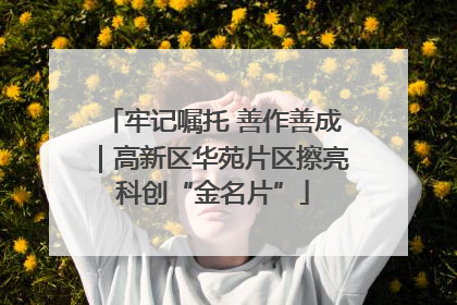 牢记嘱托 善作善成｜高新区华苑片区擦亮科创“金名片”