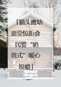 猫头鹰幼崽受惊拒食 民警“奶爸式”暖心投喂