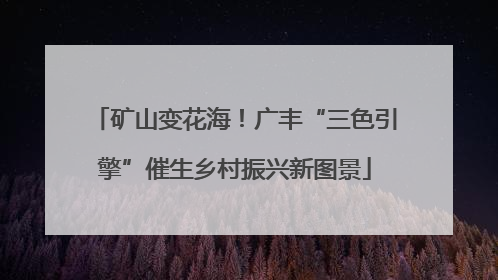 矿山变花海！广丰“三色引擎”催生乡村振兴新图景