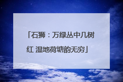 石狮：万绿丛中几树红 湿地荷塘韵无穷