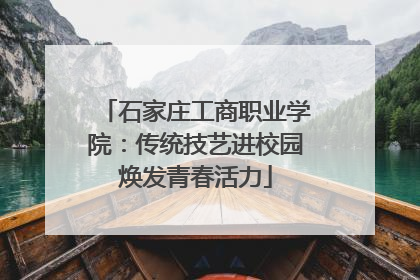 石家庄工商职业学院：传统技艺进校园焕发青春活力