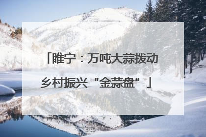 睢宁：万吨大蒜拨动乡村振兴“金蒜盘”