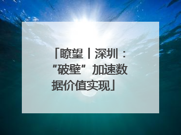 瞭望丨深圳：“破壁”加速数据价值实现