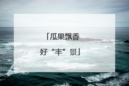 瓜果飘香 好“丰”景