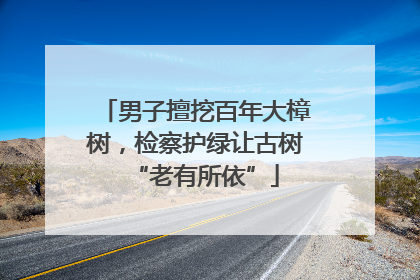 男子擅挖百年大樟树，检察护绿让古树“老有所依”