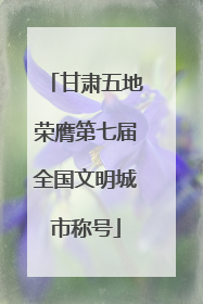 甘肃五地荣膺第七届全国文明城市称号