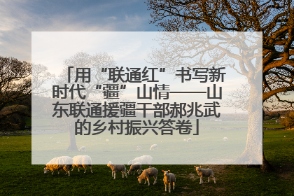 用“联通红”书写新时代“疆”山情——山东联通援疆干部郝兆武的乡村振兴答卷