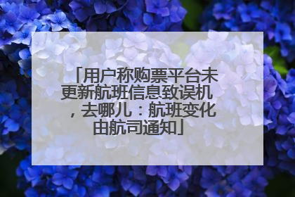 用户称购票平台未更新航班信息致误机，去哪儿：航班变化由航司通知