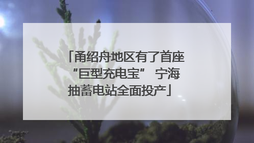 甬绍舟地区有了首座“巨型充电宝” 宁海抽蓄电站全面投产