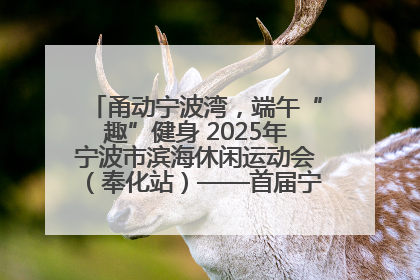 甬动宁波湾，端午“趣”健身 2025年宁波市滨海休闲运动会（奉化站）——首届宁波湾海洋运动会盛