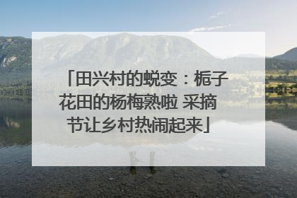 田兴村的蜕变：栀子花田的杨梅熟啦 采摘节让乡村热闹起来