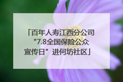 百年人寿江西分公司“7.8全国保险公众宣传日”进何坊社区