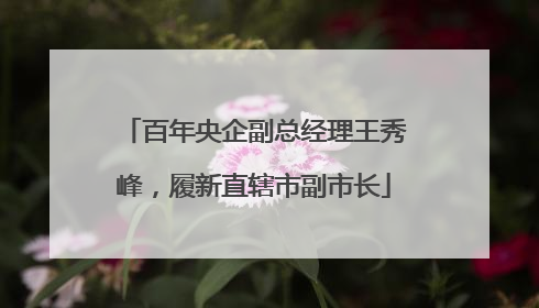 百年央企副总经理王秀峰，履新直辖市副市长