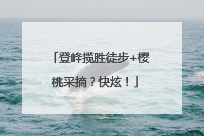 登峰揽胜徒步+樱桃采摘？快炫！