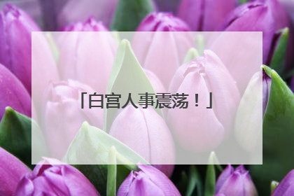 白宫人事震荡！