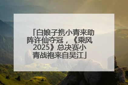 白娘子携小青来助阵许仙夺冠，《乘风2025》总决赛小青战袍来自吴江