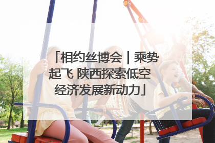 相约丝博会｜乘势起飞 陕西探索低空经济发展新动力