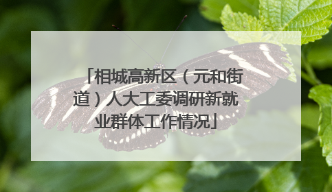 相城高新区（元和街道）人大工委调研新就业群体工作情况