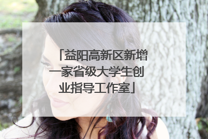 益阳高新区新增一家省级大学生创业指导工作室