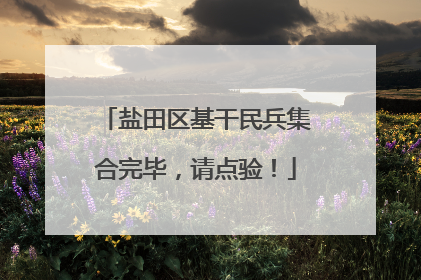 盐田区基干民兵集合完毕,请点验!