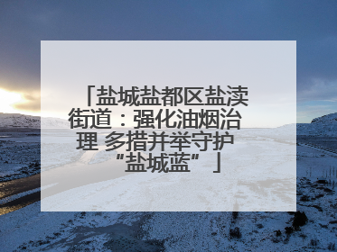 盐城盐都区盐渎街道：强化油烟治理 多措并举守护“盐城蓝”