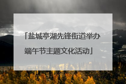 盐城亭湖先锋街道举办端午节主题文化活动