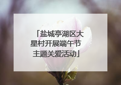 盐城亭湖区大星村开展端午节主题关爱活动