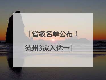 省级名单公布！德州3家入选→