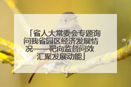 省人大常委会专题询问我省园区经济发展情况——靶向监督问效 汇聚发展动能