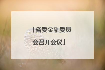 省委金融委员会召开会议