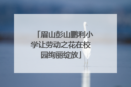 眉山彭山鹏利小学让劳动之花在校园绚丽绽放