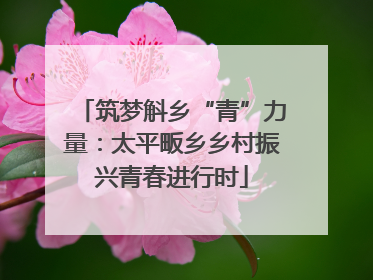 筑梦斛乡“青”力量：太平畈乡乡村振兴青春进行时