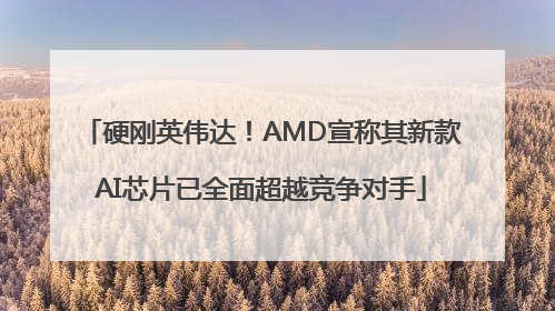 硬刚英伟达！AMD宣称其新款AI芯片已全面超越竞争对手